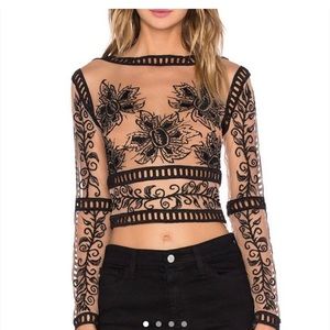 For love and lemons desert crop